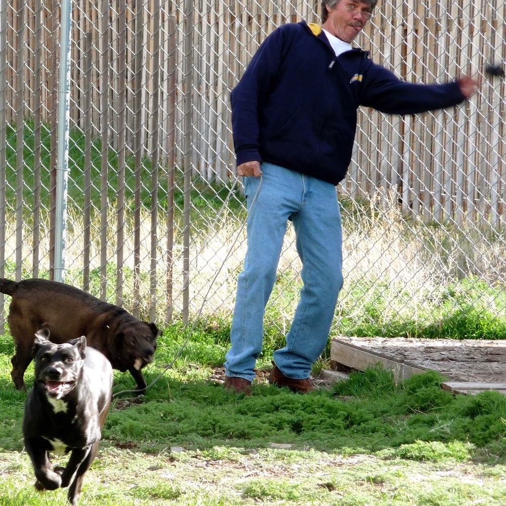 Meet your Posher, Michael